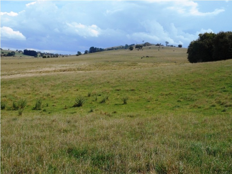 29 Pomona Lane, Neville NSW 2799