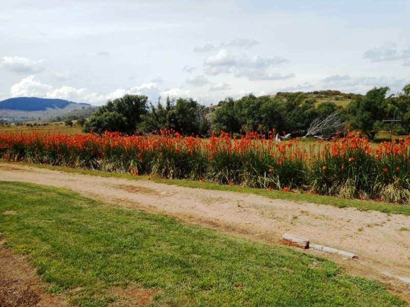 29 Pomona Lane, Neville NSW 2799