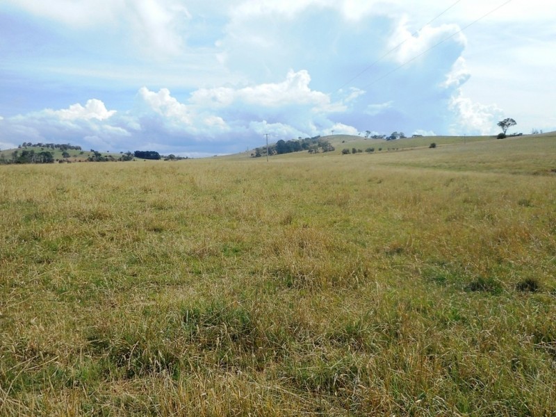 29 Pomona Lane, Neville NSW 2799