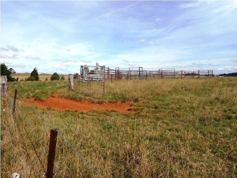 29 Pomona Lane, Neville NSW 2799