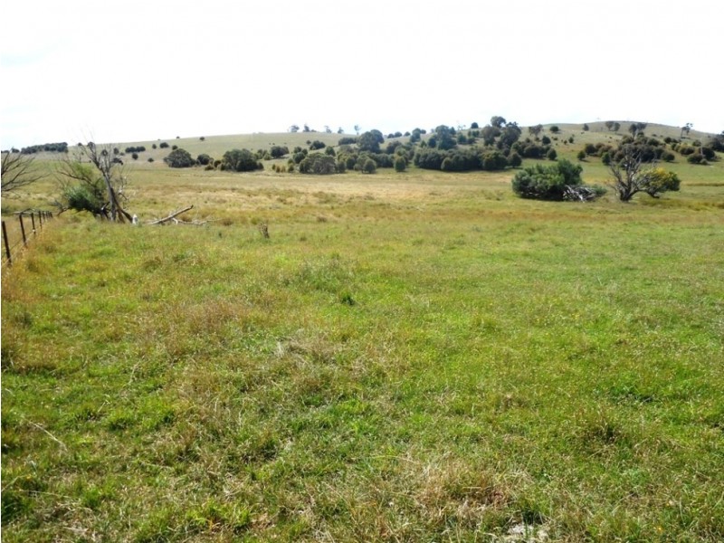 29 Pomona Lane, Neville NSW 2799