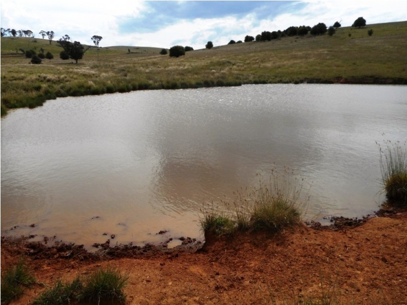 29 Pomona Lane, Neville NSW 2799