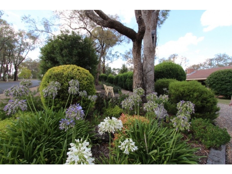 2 Strathmore Drive, Forest Grove NSW 2795