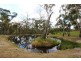 5 Borrowpit Road, Meadow Flat NSW 2795