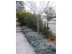 17 Brilliant, Bathurst NSW 2795