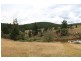 829 Sunny Corner Road, Sunny Corner NSW 2795