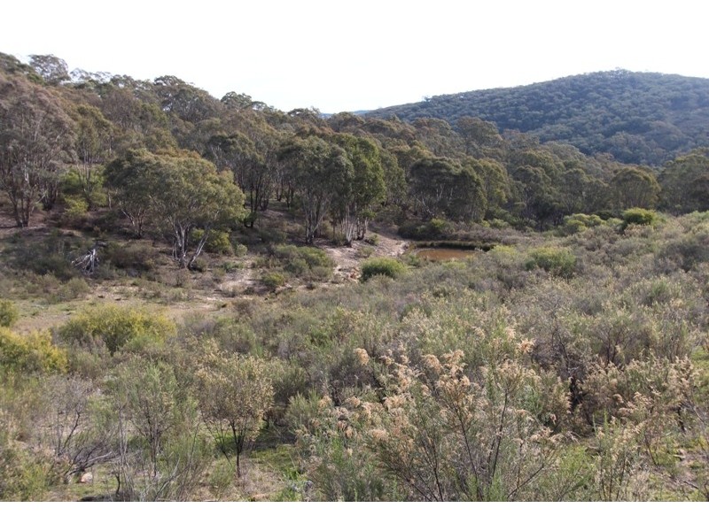 205 Wylchris Lane, Mount Rankin NSW 2795