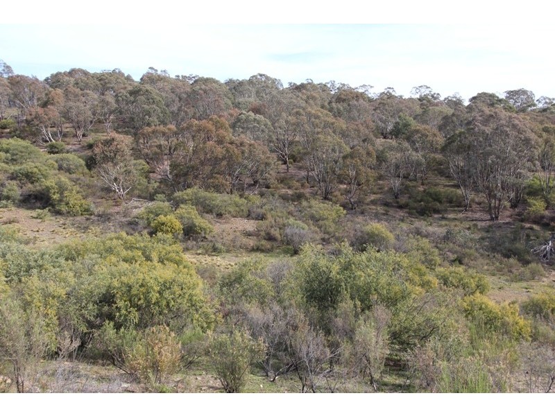 205 Wylchris Lane, Mount Rankin NSW 2795