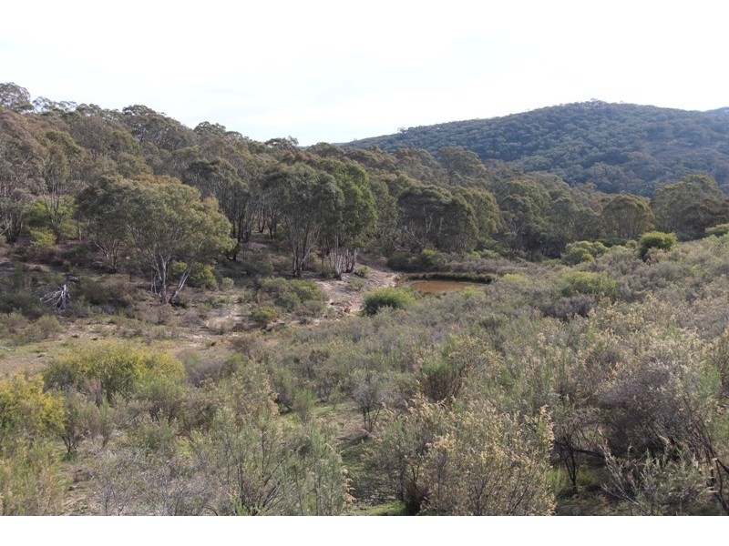 205 Wylchris Lane, Mount Rankin NSW 2795