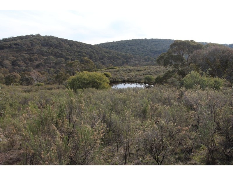 205 Wylchris Lane, Mount Rankin NSW 2795