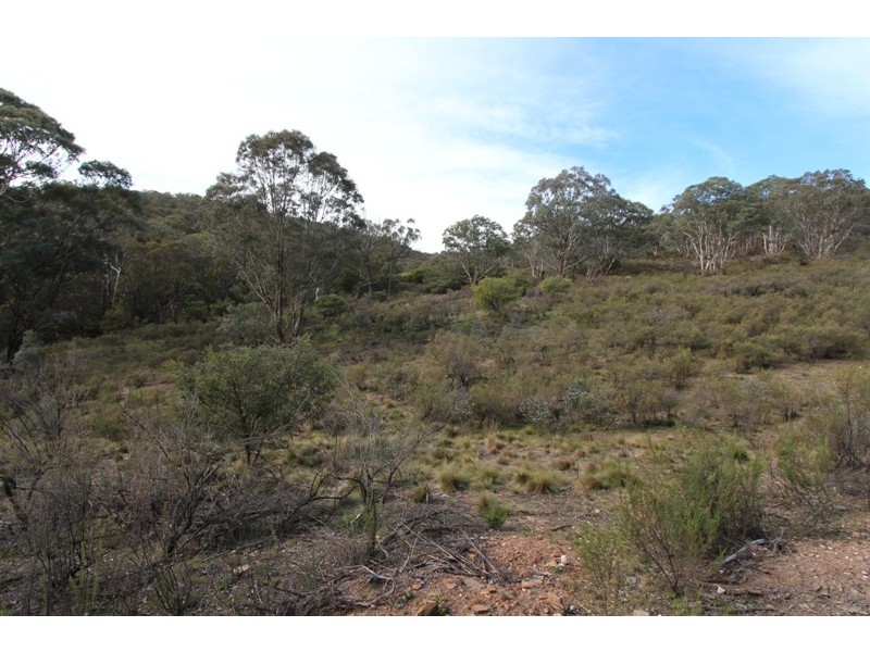 205 Wylchris Lane, Mount Rankin NSW 2795