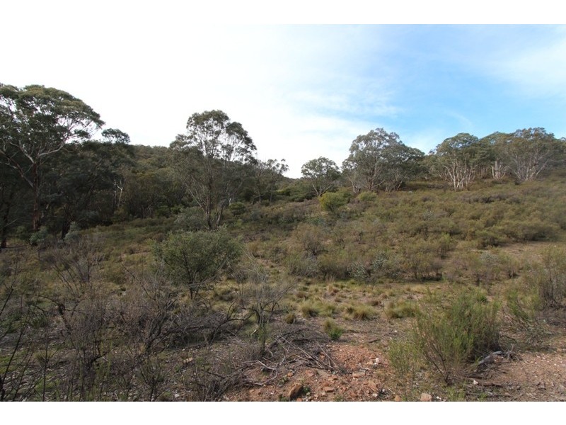 205 Wylchris Lane, Mount Rankin NSW 2795