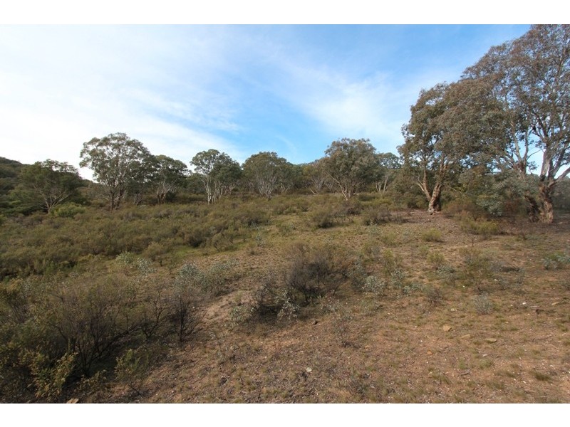 205 Wylchris Lane, Mount Rankin NSW 2795