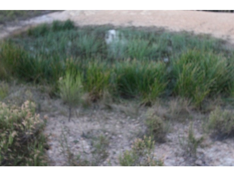 Lot 2 Ilford Hall Road, Ilford NSW 2850