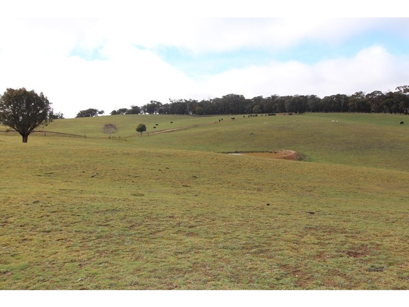 Lot 12 Old Trunk Road, Arkell NSW 2795