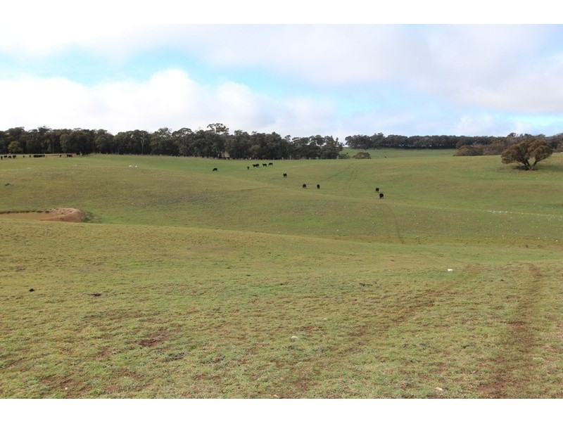 Lot 12 Old Trunk Road, Arkell NSW 2795