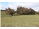 Lot 12 Old Trunk Road, Arkell NSW 2795