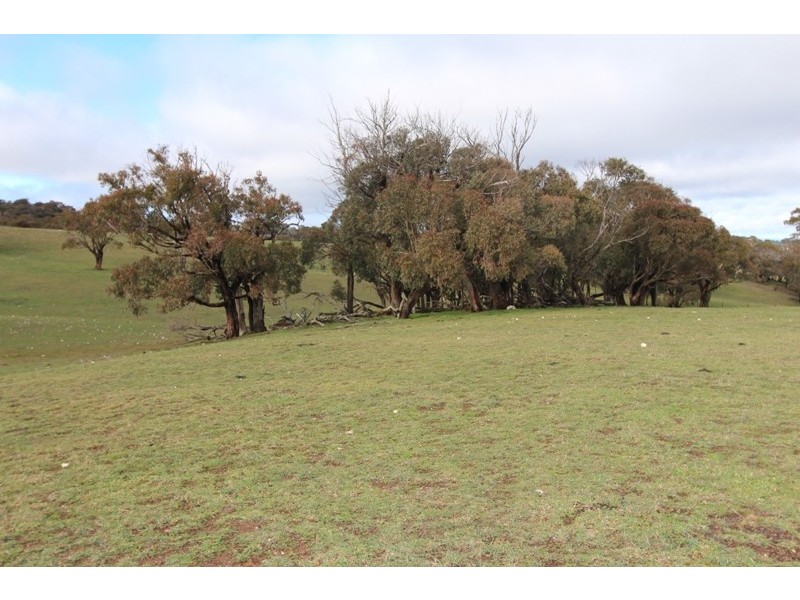Lot 12 Old Trunk Road, Arkell NSW 2795