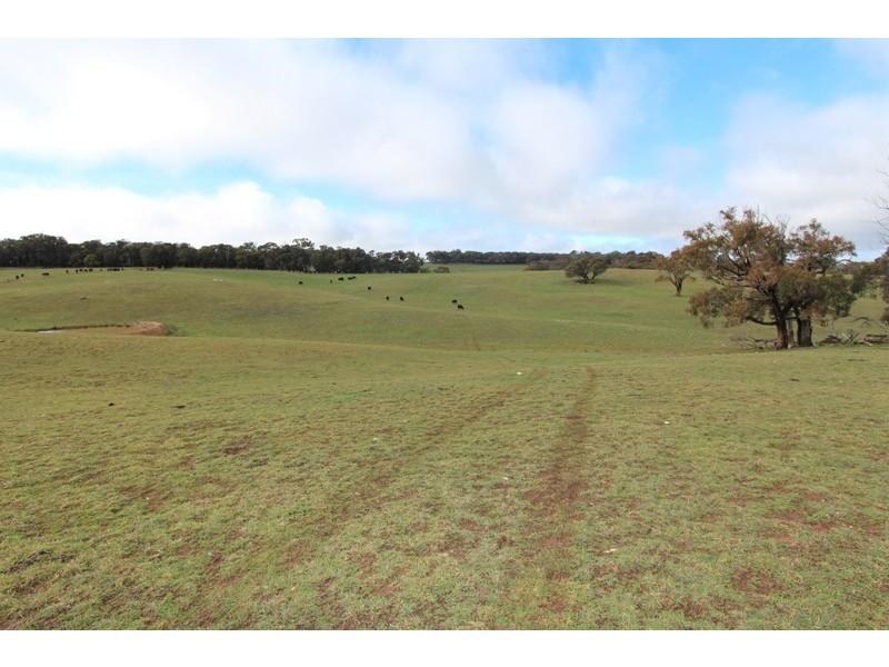 Lot 12 Old Trunk Road, Arkell NSW 2795