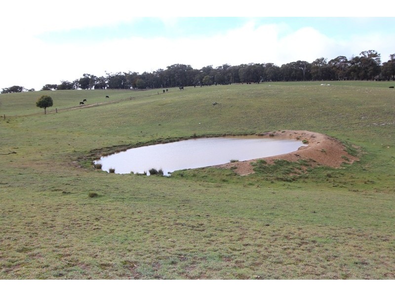 Lot 12 Old Trunk Road, Arkell NSW 2795