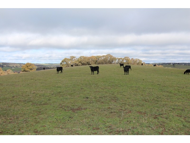 Lot 12 Old Trunk Road, Arkell NSW 2795