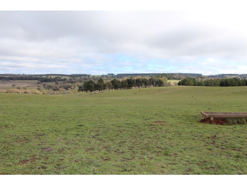 Lot 12 Old Trunk Road, Arkell NSW 2795