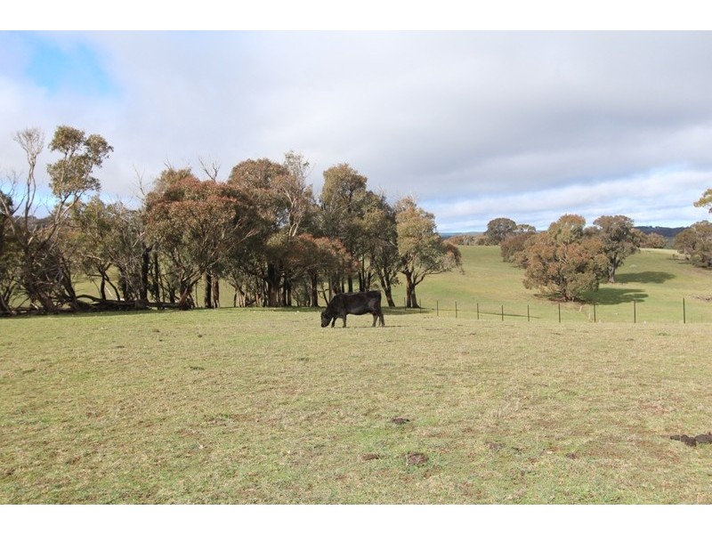 Lot 12 Old Trunk Road, Arkell NSW 2795