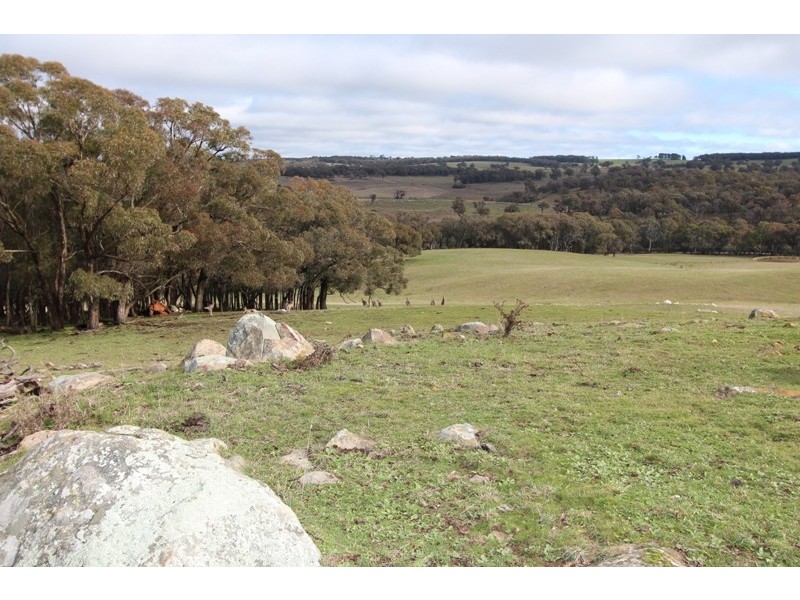 Lot 12 Old Trunk Road, Arkell NSW 2795