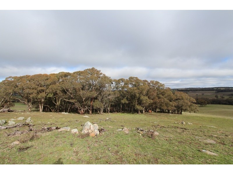 Lot 12 Old Trunk Road, Arkell NSW 2795