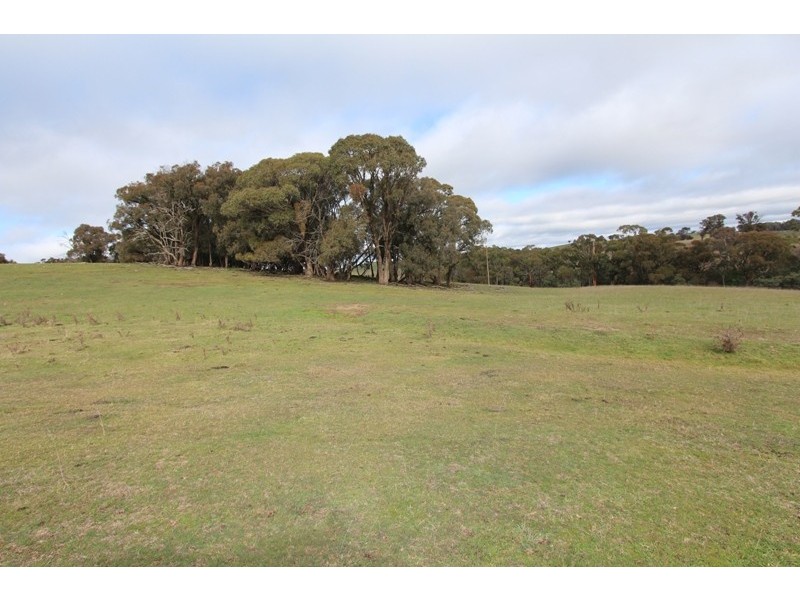 Lot 12 Old Trunk Road, Arkell NSW 2795