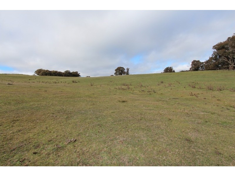 Lot 12 Old Trunk Road, Arkell NSW 2795