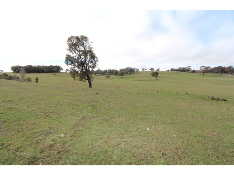 Lot 12 Old Trunk Road, Arkell NSW 2795