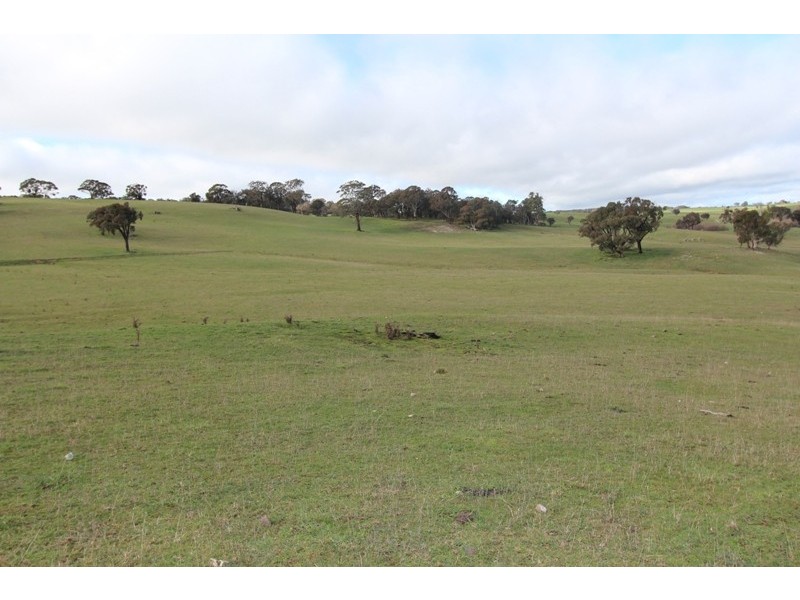 Lot 12 Old Trunk Road, Arkell NSW 2795