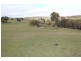 Lot 12 Old Trunk Road, Arkell NSW 2795