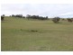 Lot 12 Old Trunk Road, Arkell NSW 2795