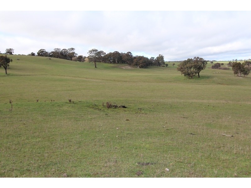 Lot 12 Old Trunk Road, Arkell NSW 2795