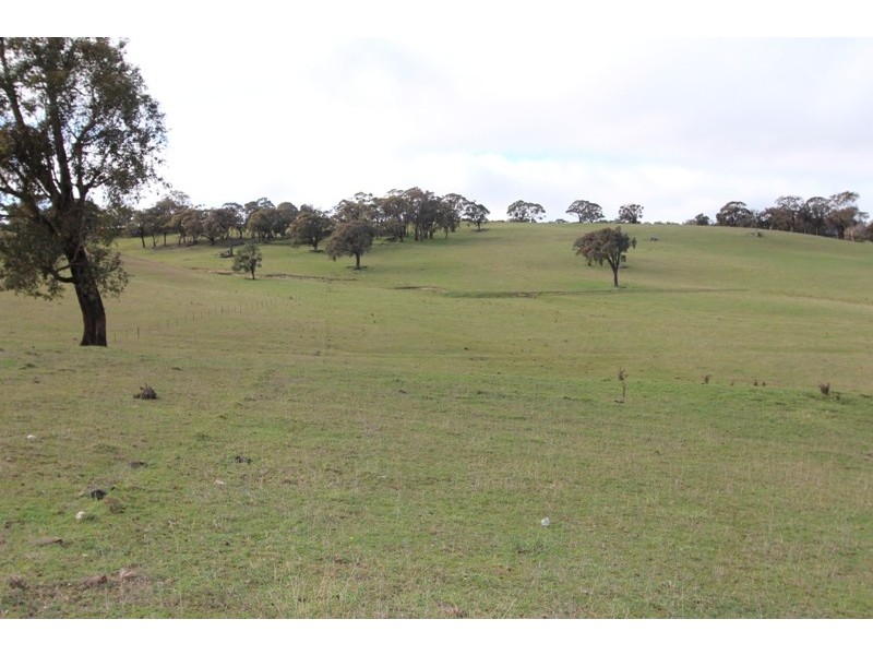 Lot 12 Old Trunk Road, Arkell NSW 2795