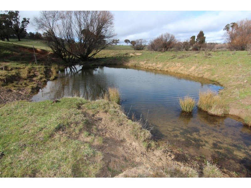 Lot 12 Old Trunk Road, Arkell NSW 2795