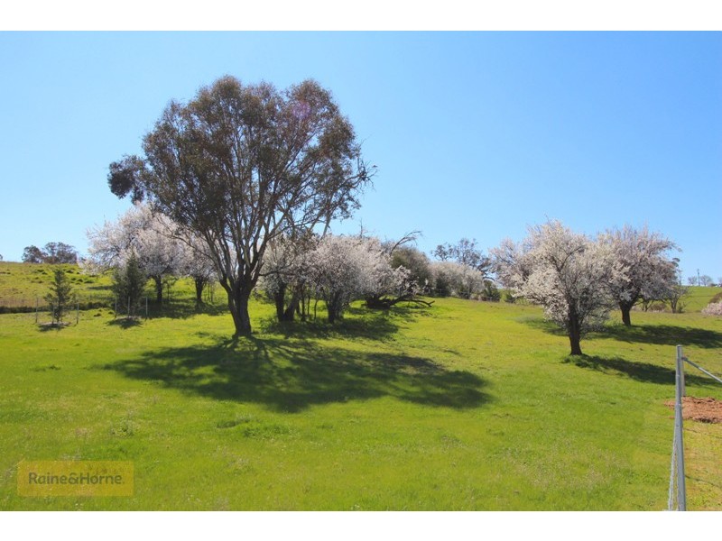 291 Bloom Hill Road, O’connell NSW 2795