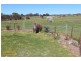 291 Bloom Hill Road, O’connell NSW 2795