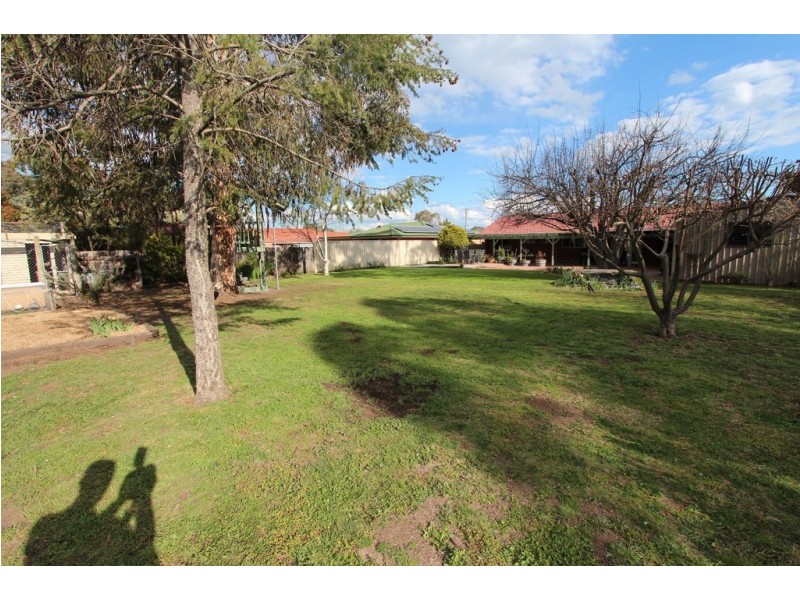 39 Halstead Street, Eglinton NSW 2795