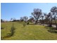 291 Bloom Hill Road, O’connell NSW 2795