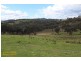 1095 Turondale Road, Duramana NSW 2795