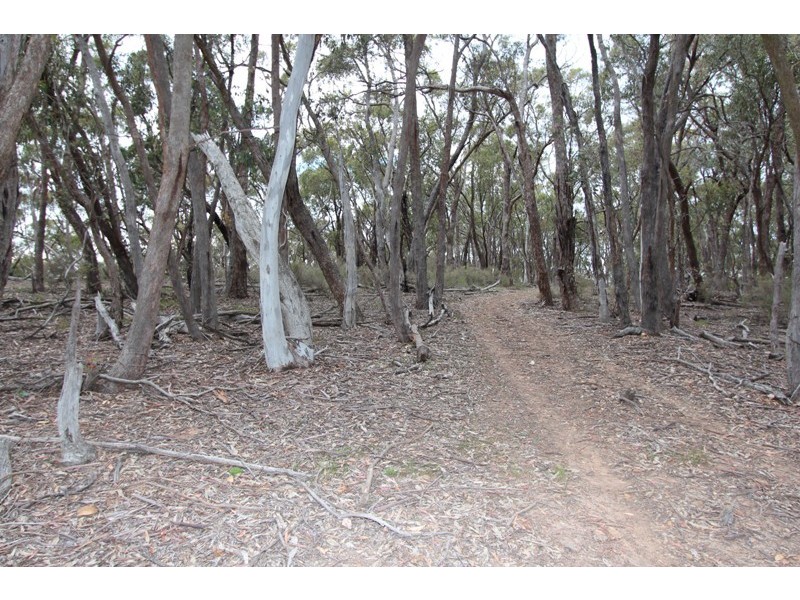 2537 Mid Western Highway, Fitzgeralds Mount NSW 2799