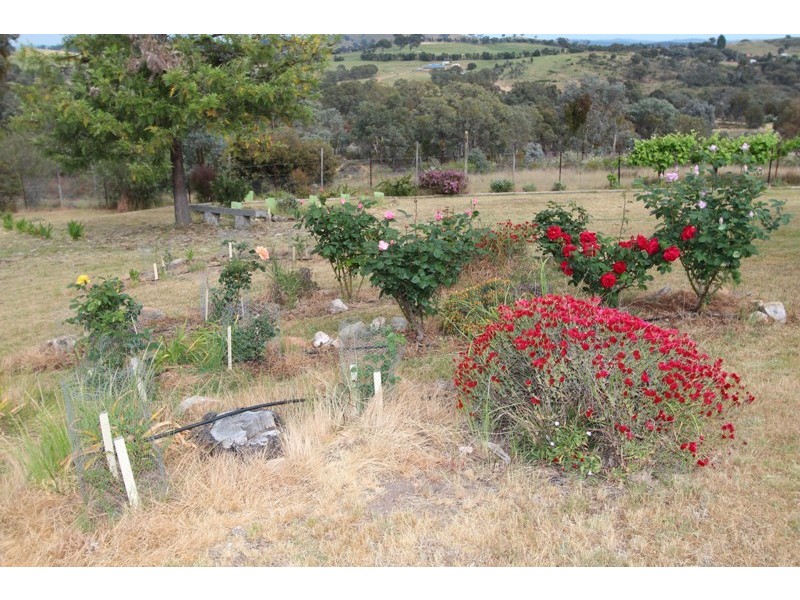 1136 Limekilns Road, Limekilns NSW 2795