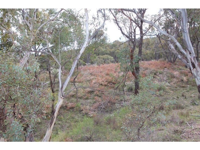 1136 Limekilns Road, Limekilns NSW 2795