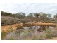 1136 Limekilns Road, Limekilns NSW 2795