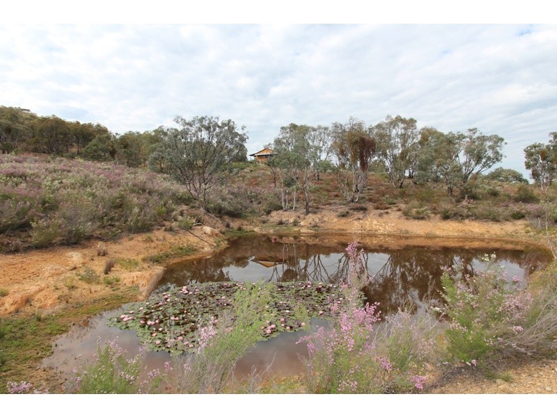 1136 Limekilns Road, Limekilns NSW 2795
