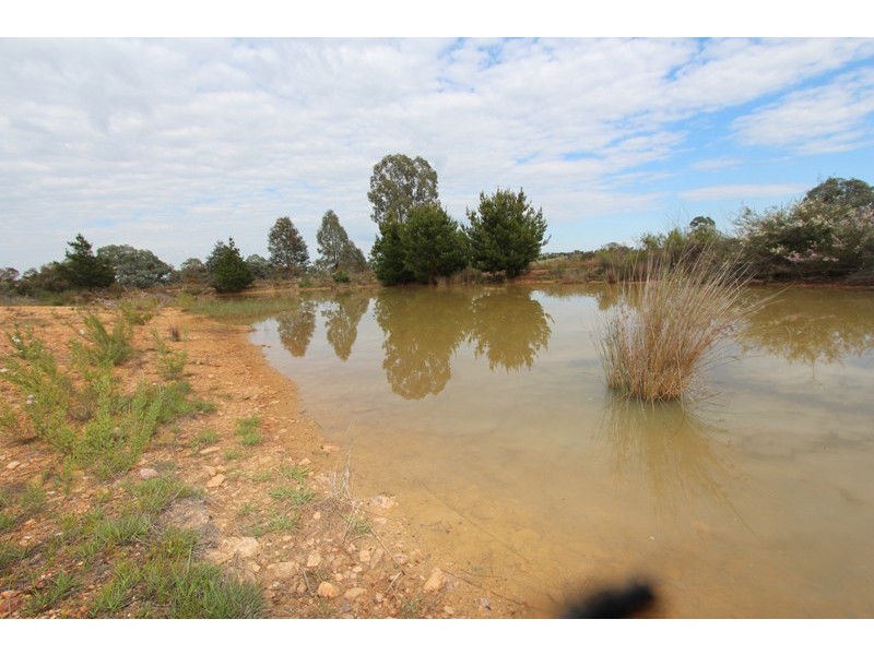 1136 Limekilns Road, Limekilns NSW 2795