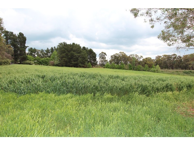 2537 Mid Western Highway, Fitzgeralds Mount NSW 2799